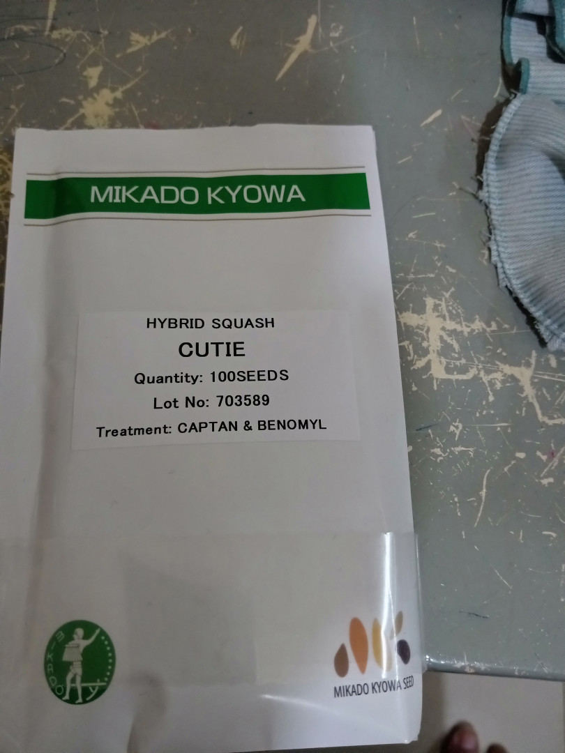 គ្រាប់ពូជននោងជប៉ុន