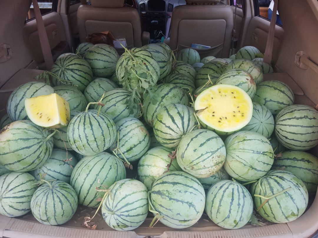 ឪឡឹករាជ្យលឿង(លក់ដុំ)