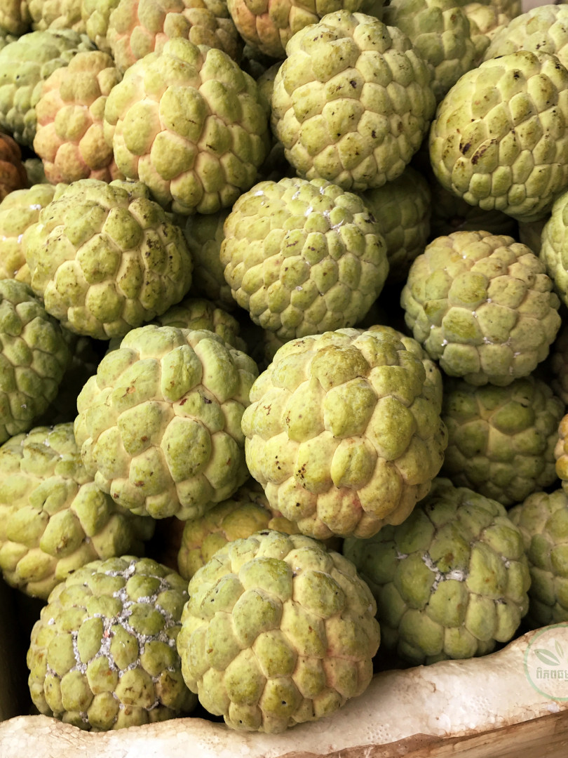 ទៀបទួលទ្រា