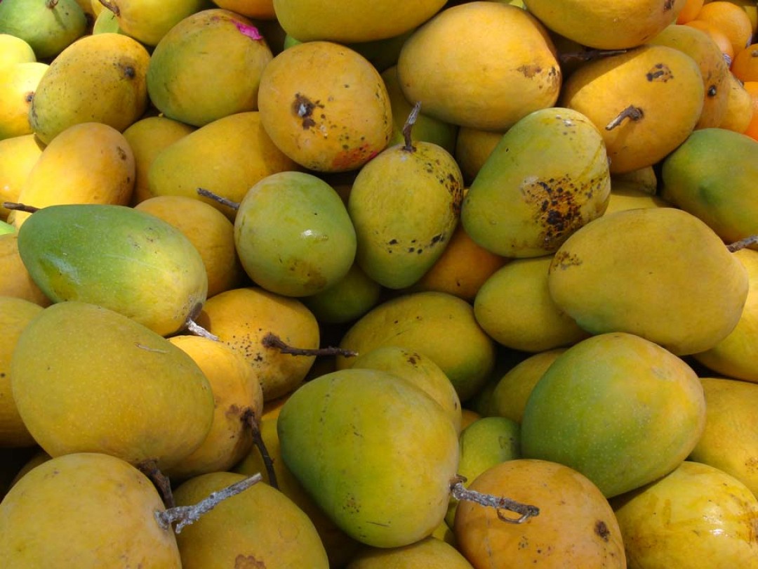 Delicious Mango