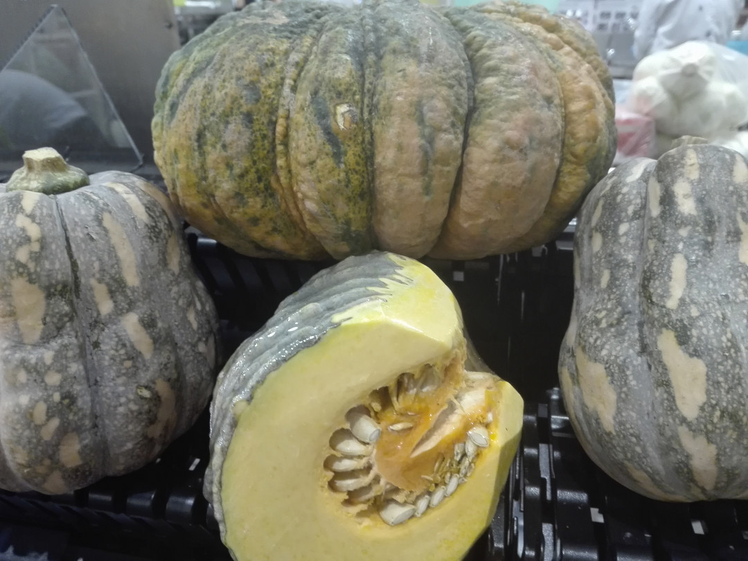ល្ពៅសណ្ដែកដី