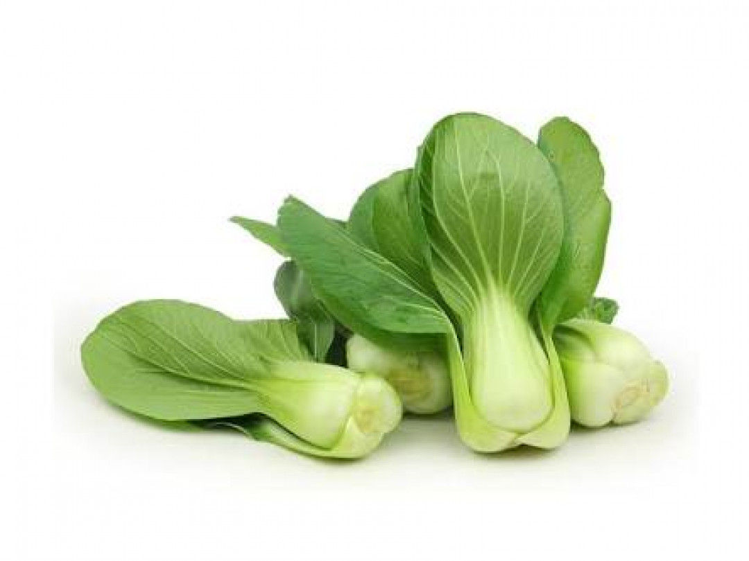 ស្ពៃជើងទា