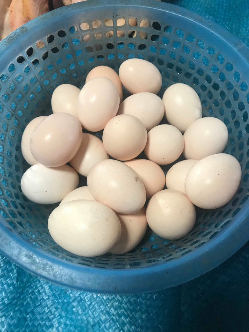ពងមាន់ស្រែ