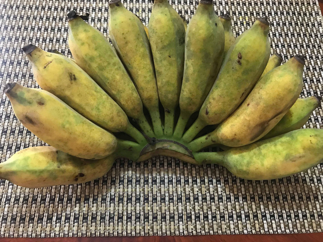 ចេកណាំវ៉ា