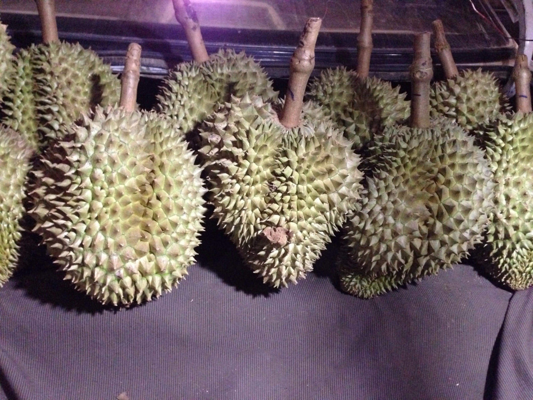 ធូរេនសំឡូត