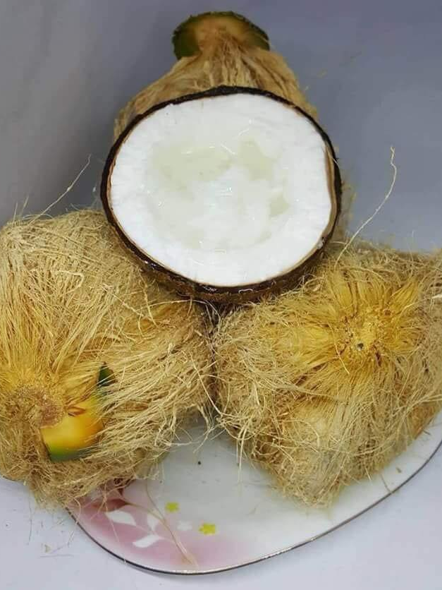 ដូងខ្ទិះបាត់ដំបង